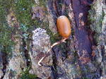 PB160803.JPG